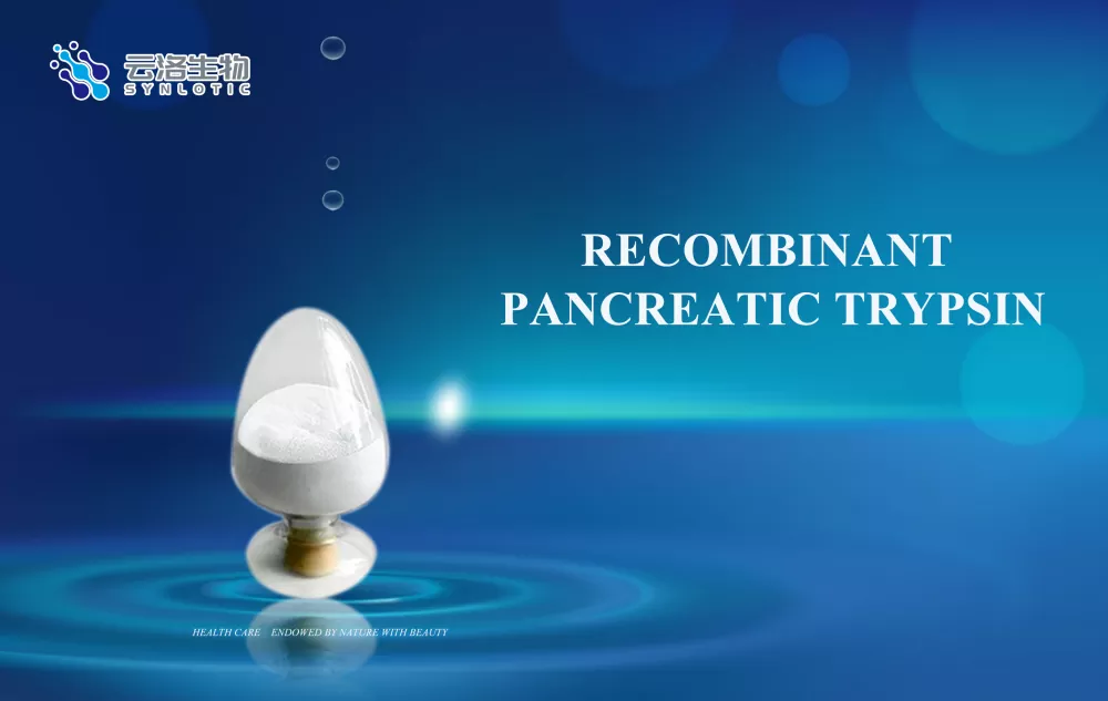 Rectaintant pancreatic Tretppin